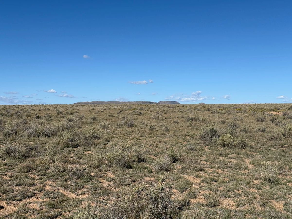 Decorative background for Your Colorado Basecamp: 5 Acres Beneath the Sangre de Cristos image 24
