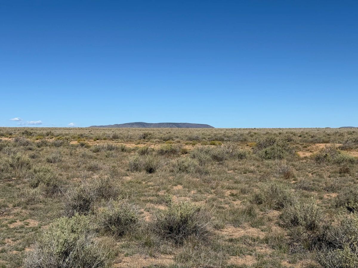 Decorative background for Your Colorado Basecamp: 5 Acres Beneath the Sangre de Cristos image 25