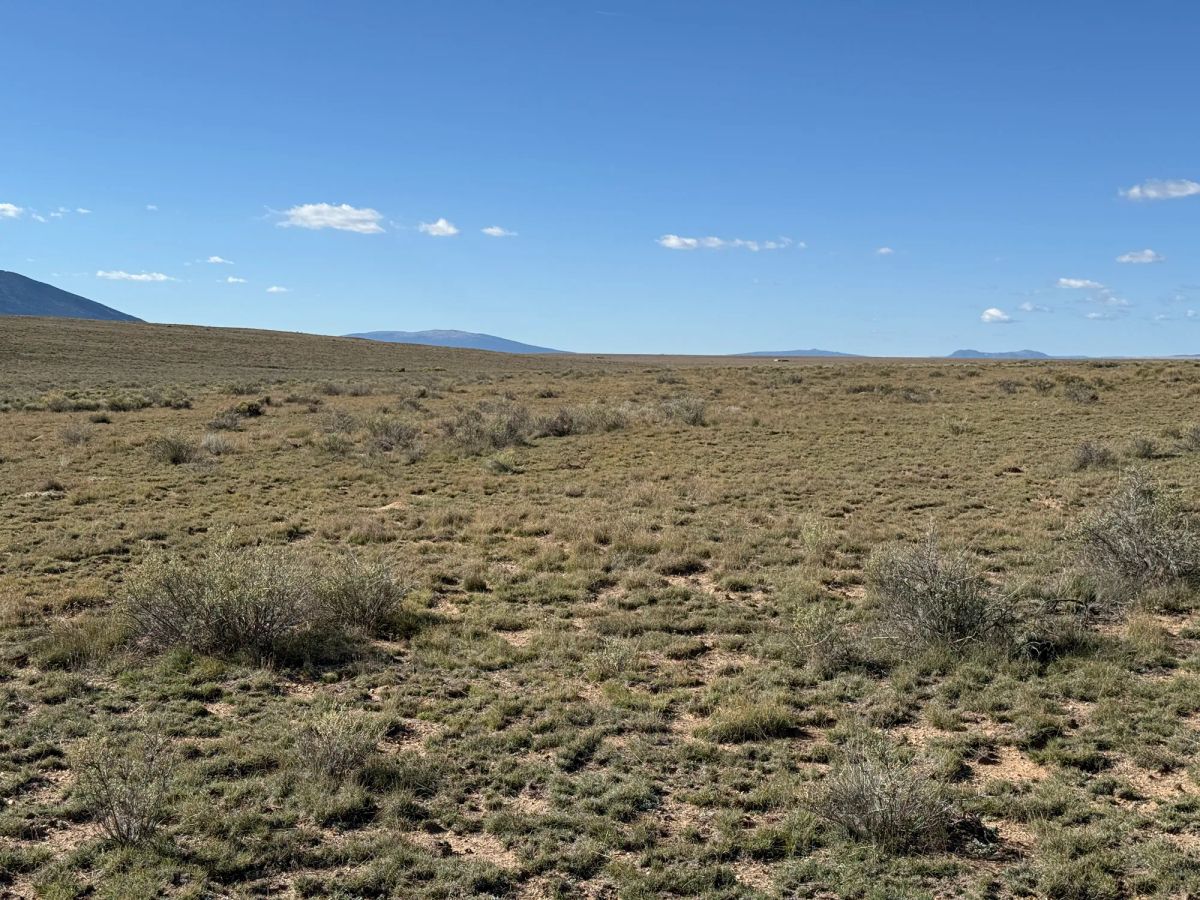 Decorative background for Your Colorado Basecamp: 5 Acres Beneath the Sangre de Cristos image 26