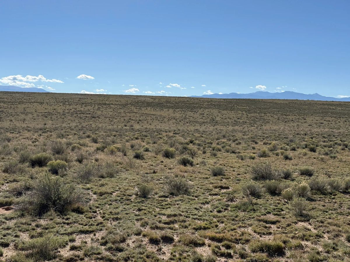 Decorative background for Your Colorado Basecamp: 5 Acres Beneath the Sangre de Cristos image 27
