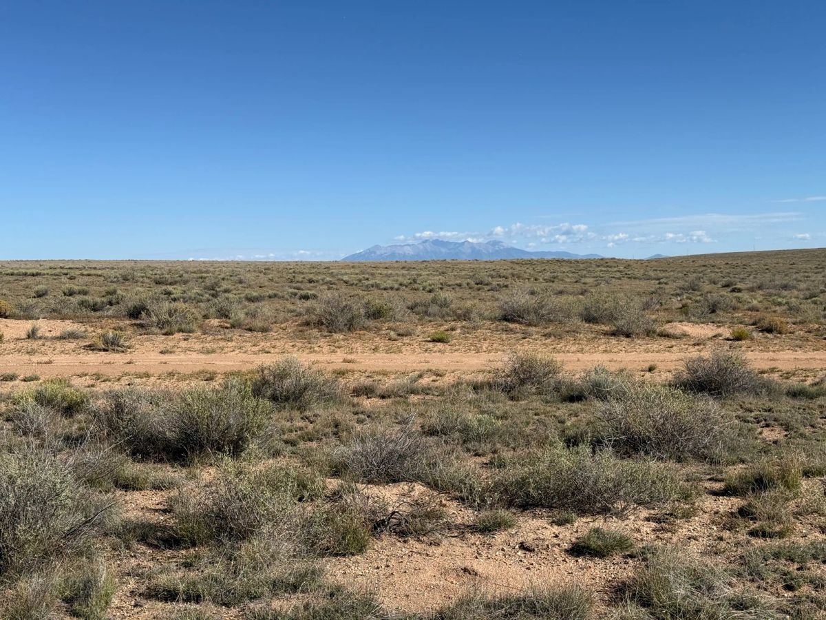Decorative background for Your Colorado Basecamp: 5 Acres Beneath the Sangre de Cristos image 29