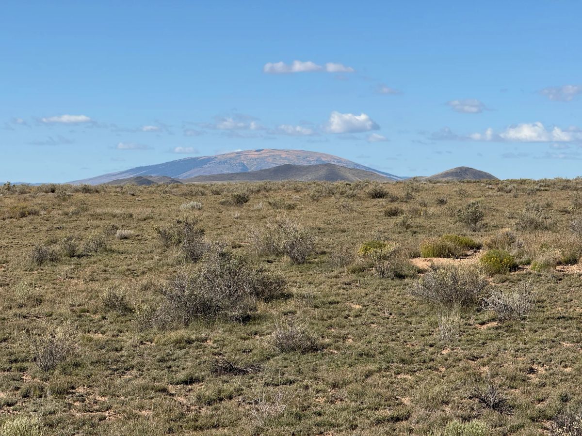 Decorative background for Your Colorado Basecamp: 5 Acres Beneath the Sangre de Cristos image 30