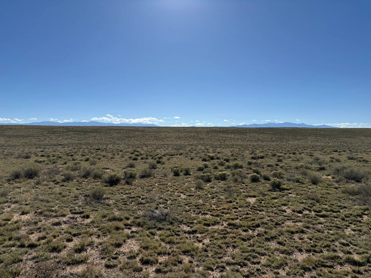 Decorative background for Your Colorado Basecamp: 5 Acres Beneath the Sangre de Cristos image 9