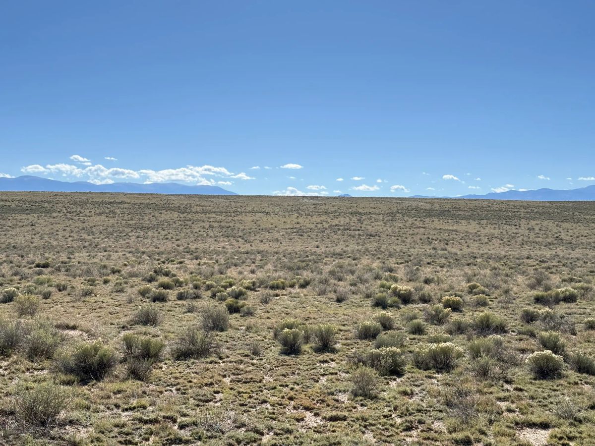 Decorative background for Your Colorado Basecamp: 5 Acres Beneath the Sangre de Cristos image 10