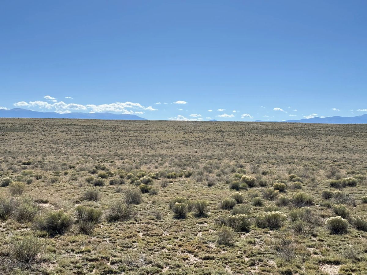 Decorative background for Your Colorado Basecamp: 5 Acres Beneath the Sangre de Cristos image 11