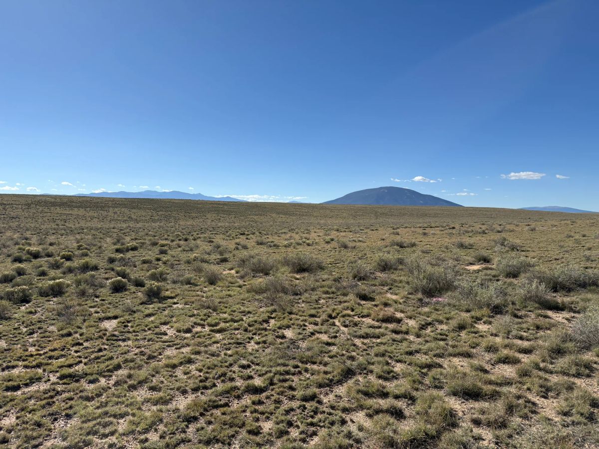 Decorative background for Your Colorado Basecamp: 5 Acres Beneath the Sangre de Cristos image 12