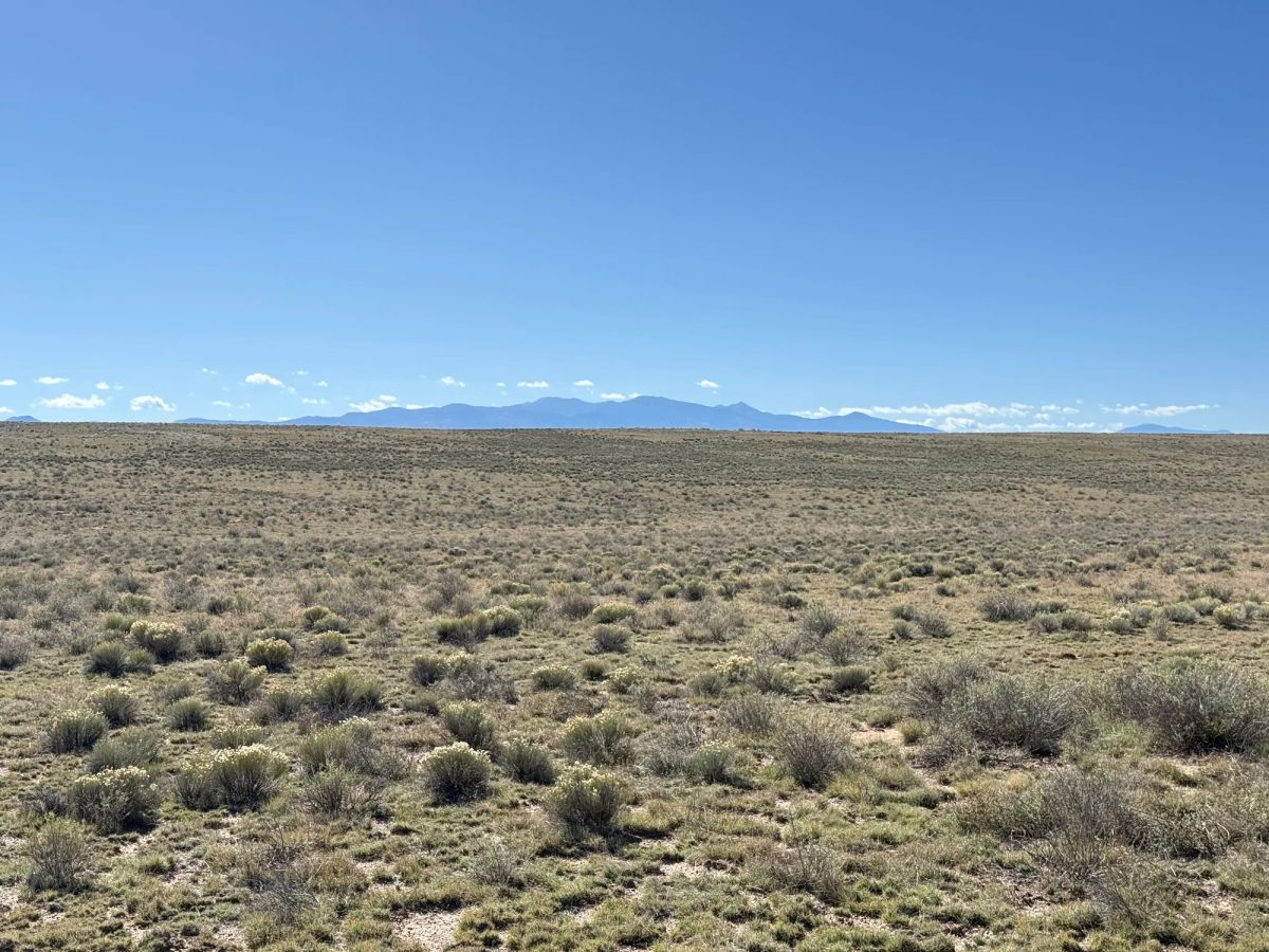 Decorative background for Your Colorado Basecamp: 5 Acres Beneath the Sangre de Cristos image 13