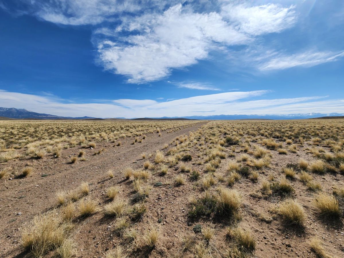 Decorative background for 5 Acres in Mount Blanca Valley Ranches image 5