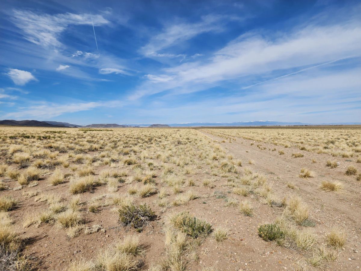Decorative background for 5 Acres in Mount Blanca Valley Ranches image 6