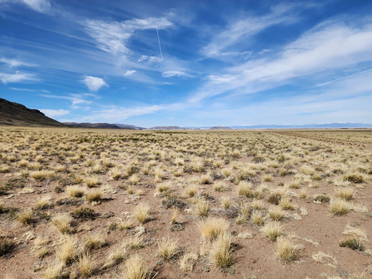 Decorative background for 5 Acres in Mount Blanca Valley Ranches image 7