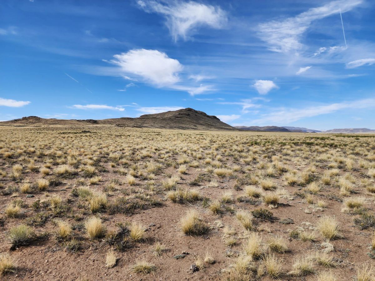 Decorative background for 5 Acres in Mount Blanca Valley Ranches image 8