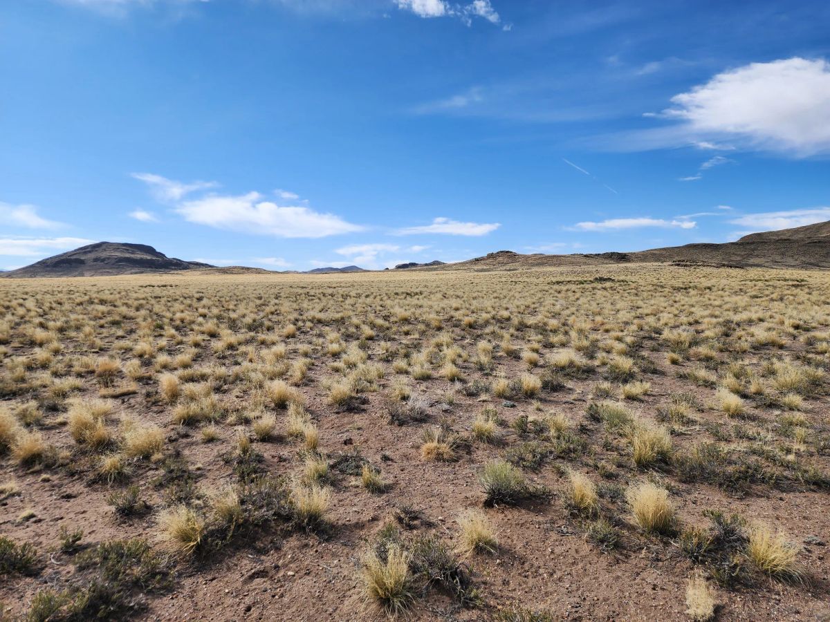 Decorative background for 5 Acres in Mount Blanca Valley Ranches image 9