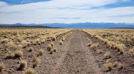 5 Acres in Mount Blanca Valley Ranches in Costilla County, CO