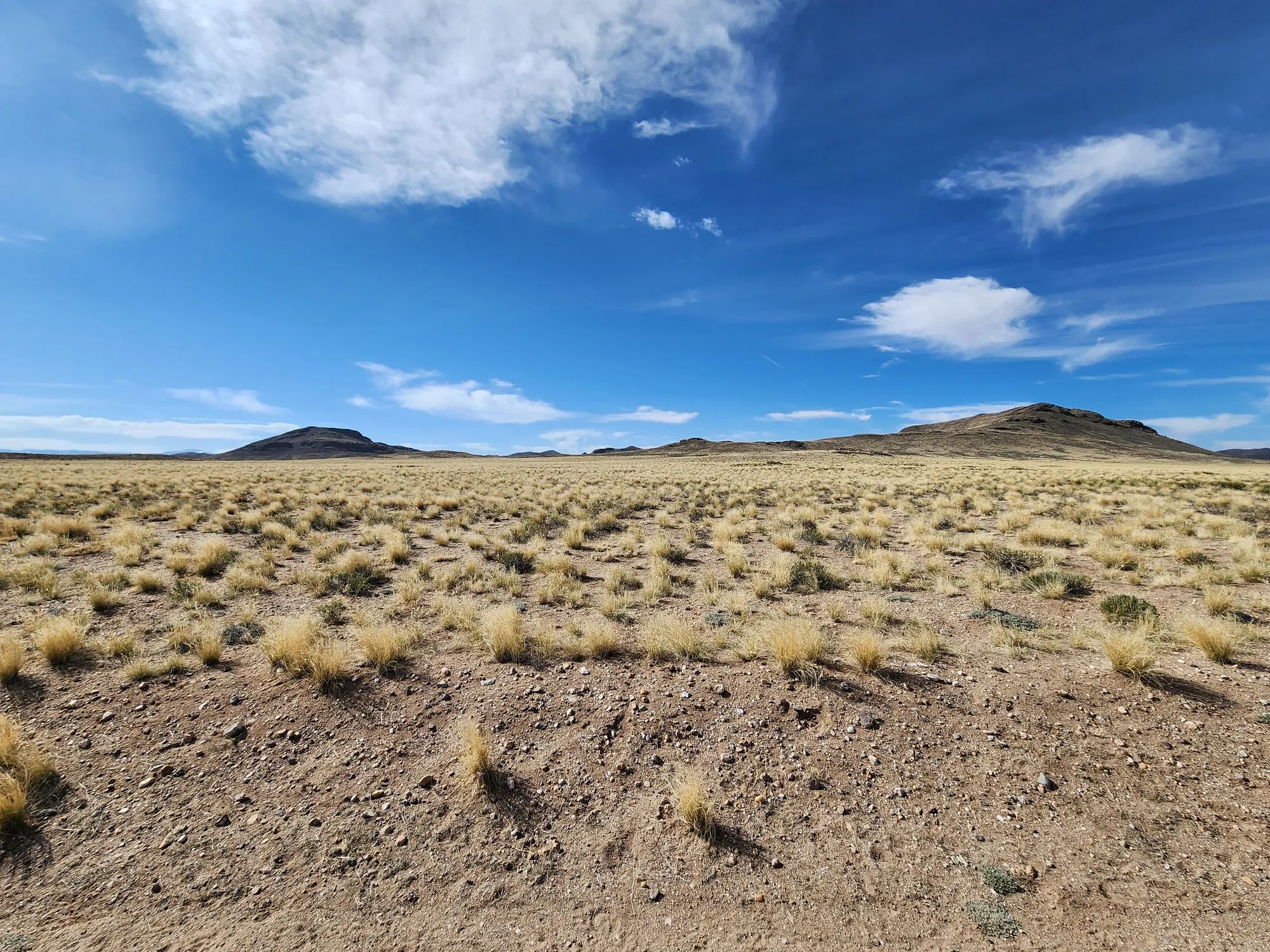 5 Acres in Mount Blanca Valley Ranches in Costilla County, CO