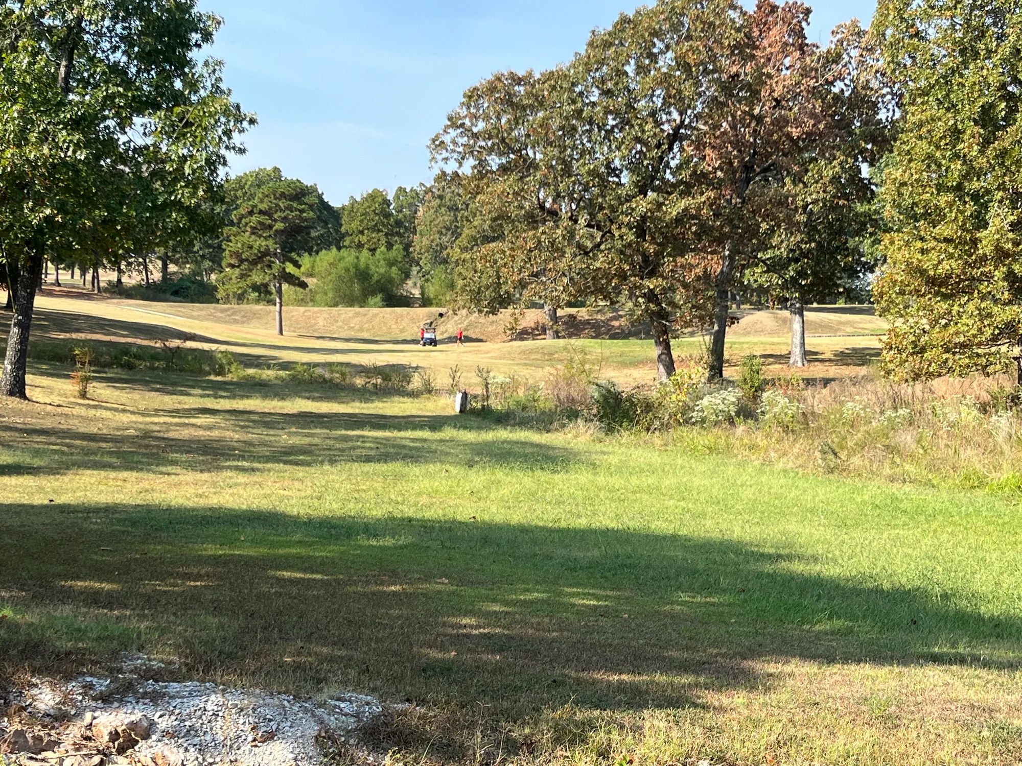 Trade Your Car for a Golf Cart — Your Easy Life Awaits in Izard County, AR