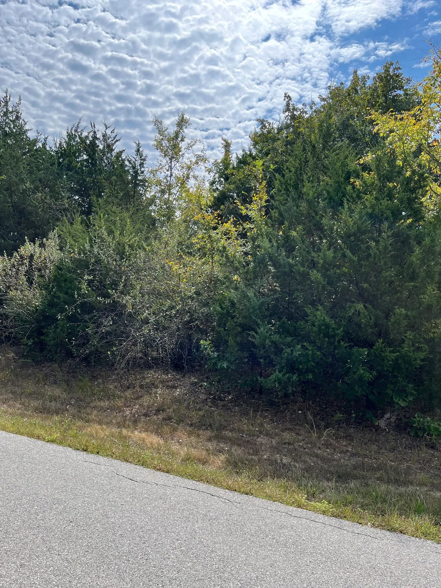 Trade Your Car for a Golf Cart — Your Easy Life Awaits in Izard County, AR