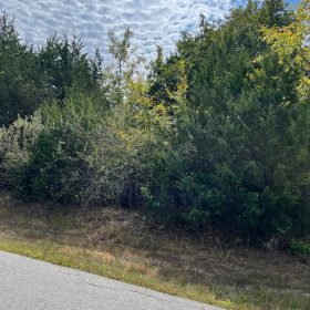 Trade Your Car for a Golf Cart β Your Easy Life Awaits in Izard County, AR