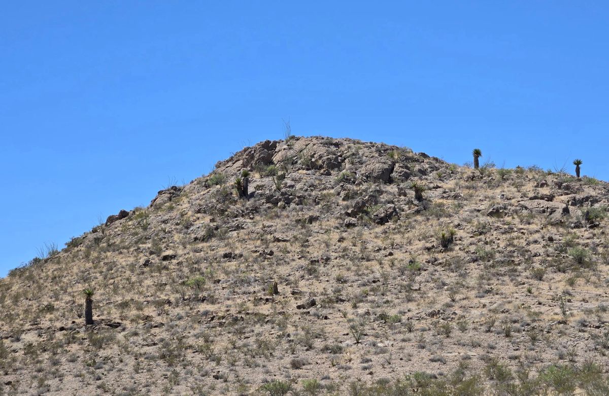 Decorative background for 31.4 Acres with Power, Road Frontage & Mountain Views image 17