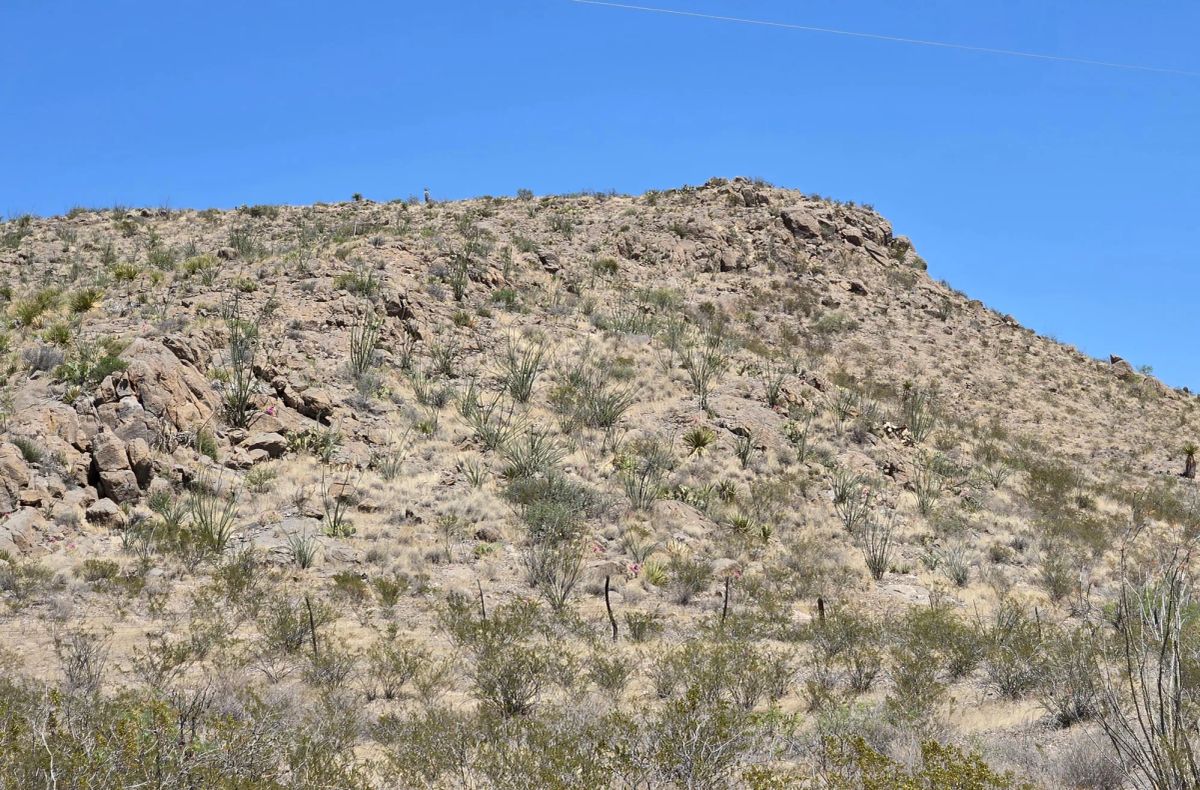 Decorative background for 31.4 Acres with Power, Road Frontage & Mountain Views image 25