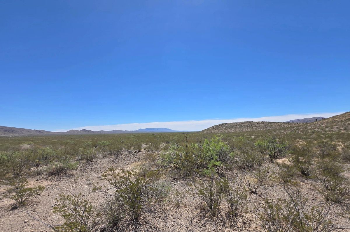 Decorative background for 31.4 Acres with Power, Road Frontage & Mountain Views image 11