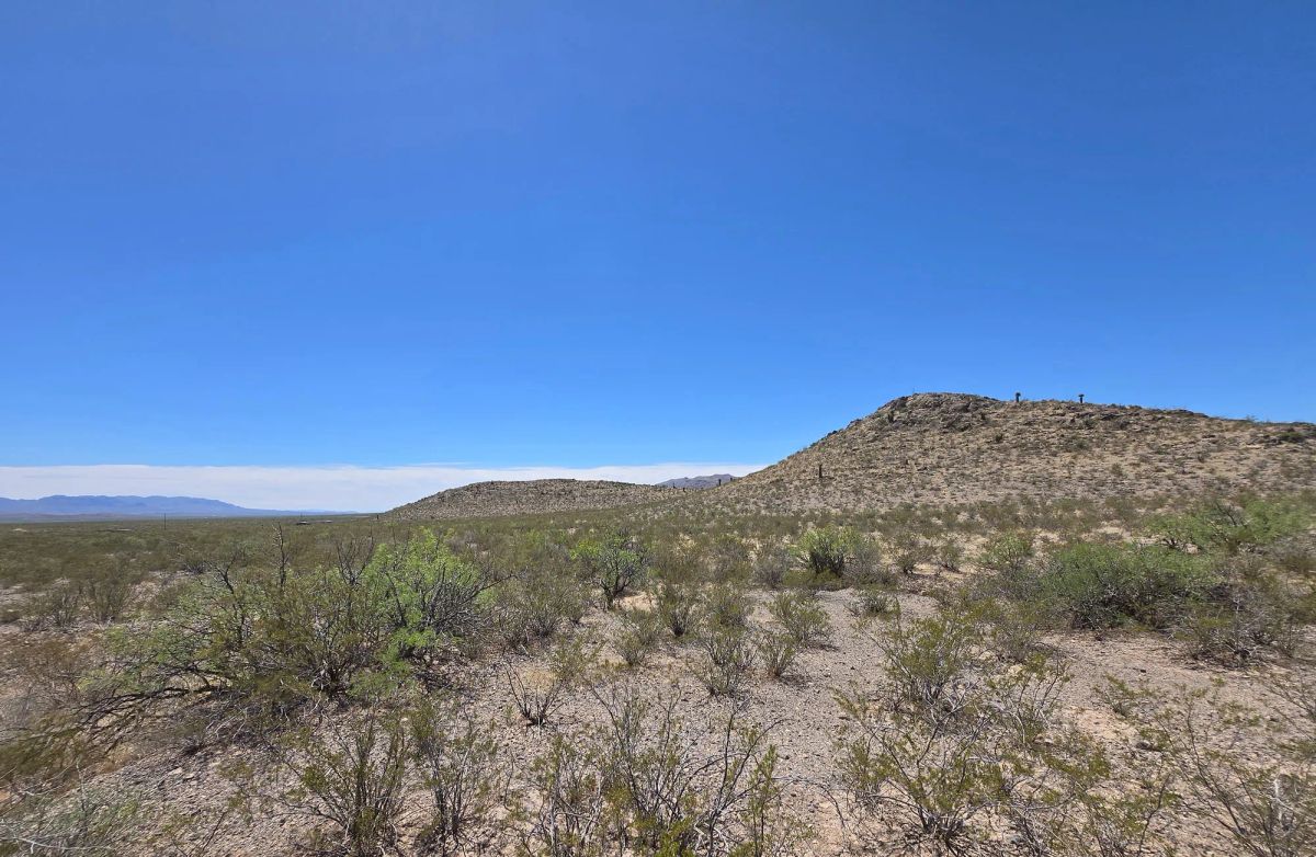 Decorative background for 31.4 Acres with Power, Road Frontage & Mountain Views image 12