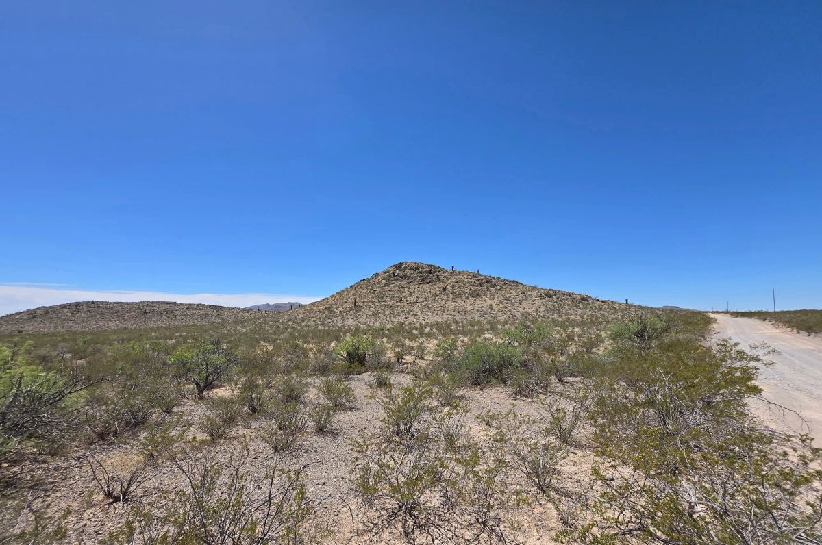 Decorative background for 31.4 Acres with Power, Road Frontage & Mountain Views image 14