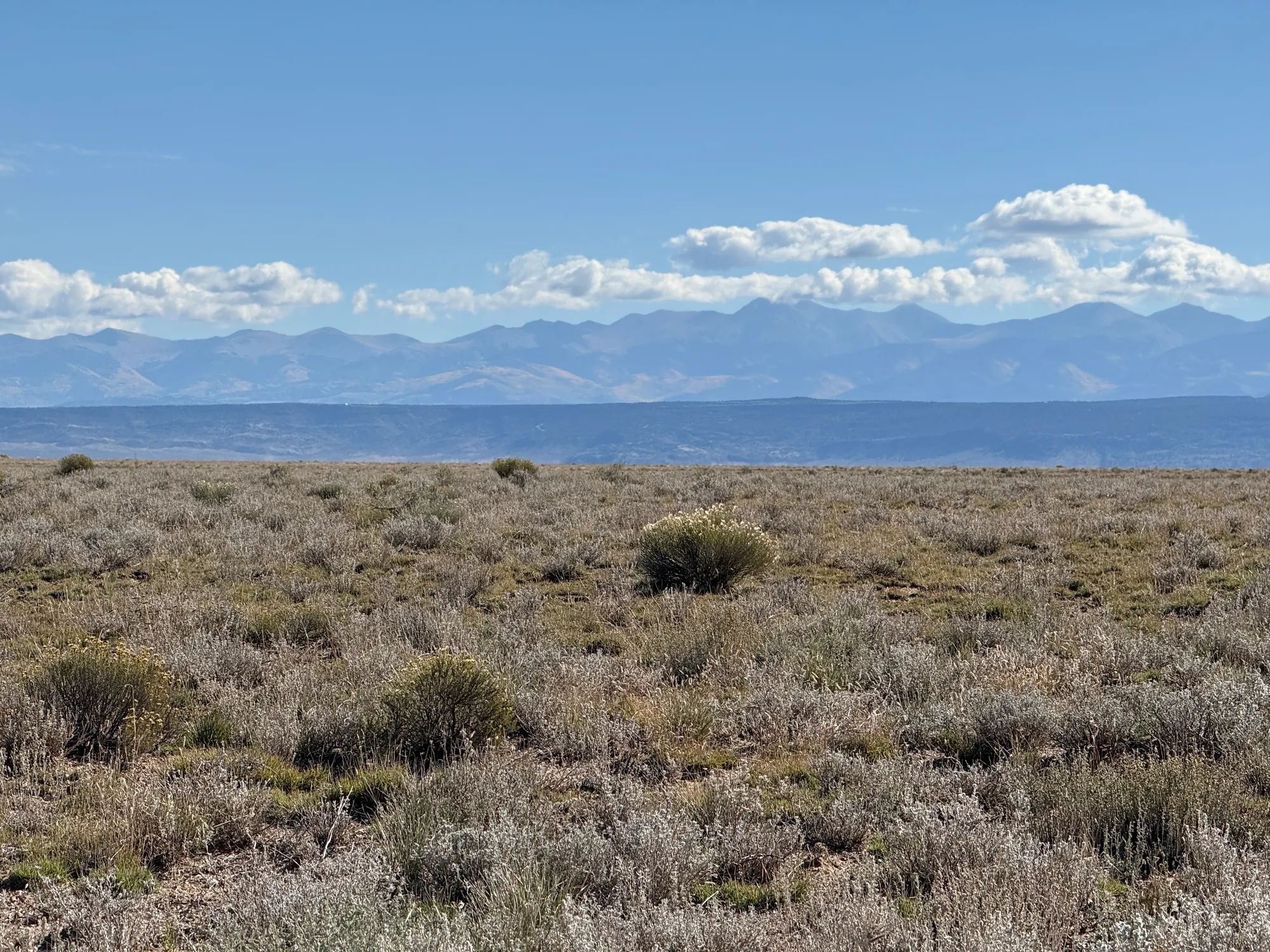 5 acres: Close to the River, Far from the Noise in Costilla County, CO