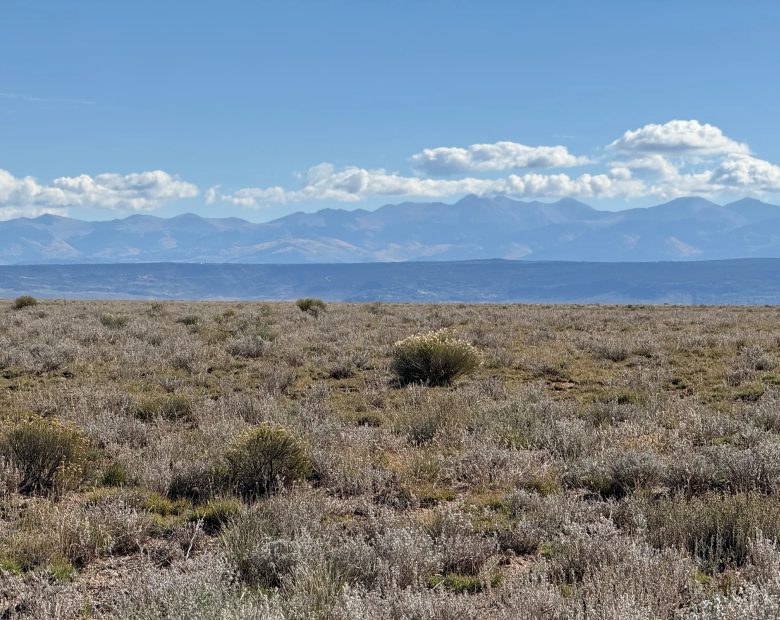 5 acres: Close to the River, Far from the Noise in Costilla County, CO