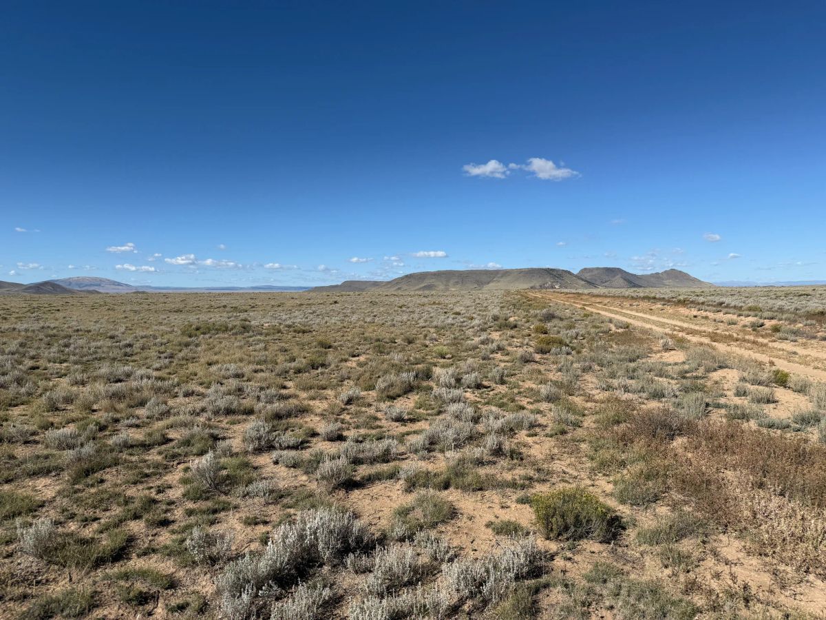 Decorative background for 5 acres with 360-degree Mountain views image 5