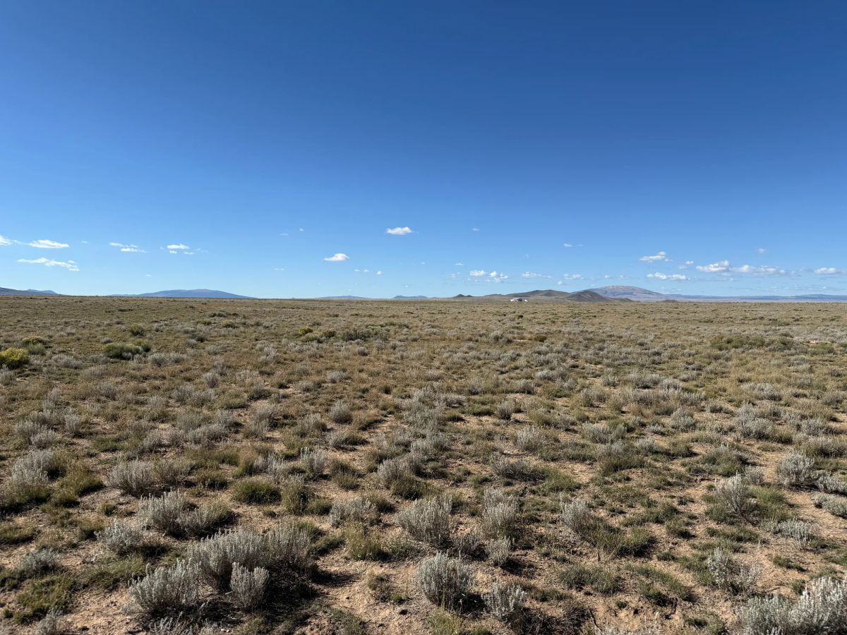 Decorative background for 5 acres with 360-degree Mountain views image 8