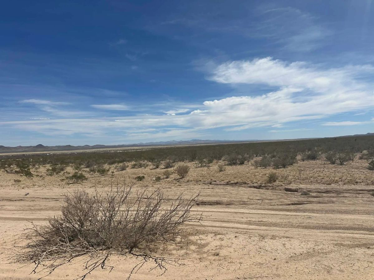 Decorative background for 10 Acres of Freedom – No Zoning, Just Wide-Open West Texas image 8