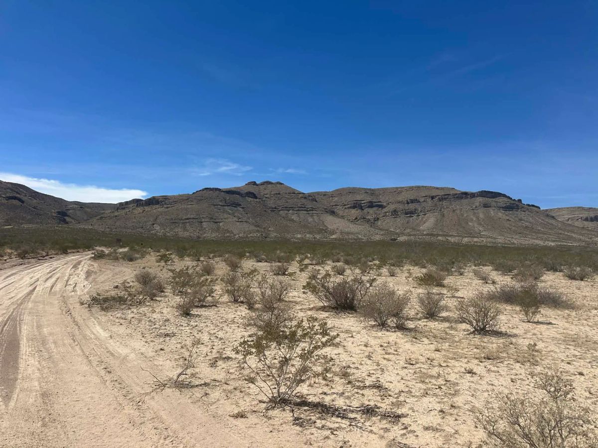 Decorative background for 10 Acres of Freedom – No Zoning, Just Wide-Open West Texas image 9