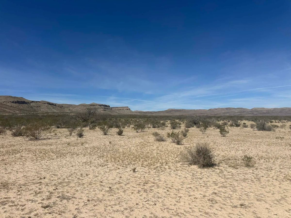 Decorative background for 10 Acres of Freedom – No Zoning, Just Wide-Open West Texas image 10