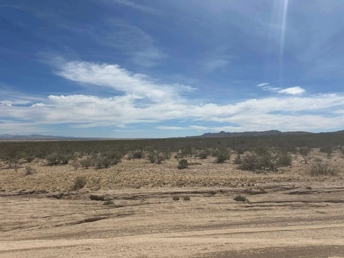 Decorative background for 10 Acres of Freedom – No Zoning, Just Wide-Open West Texas image 11
