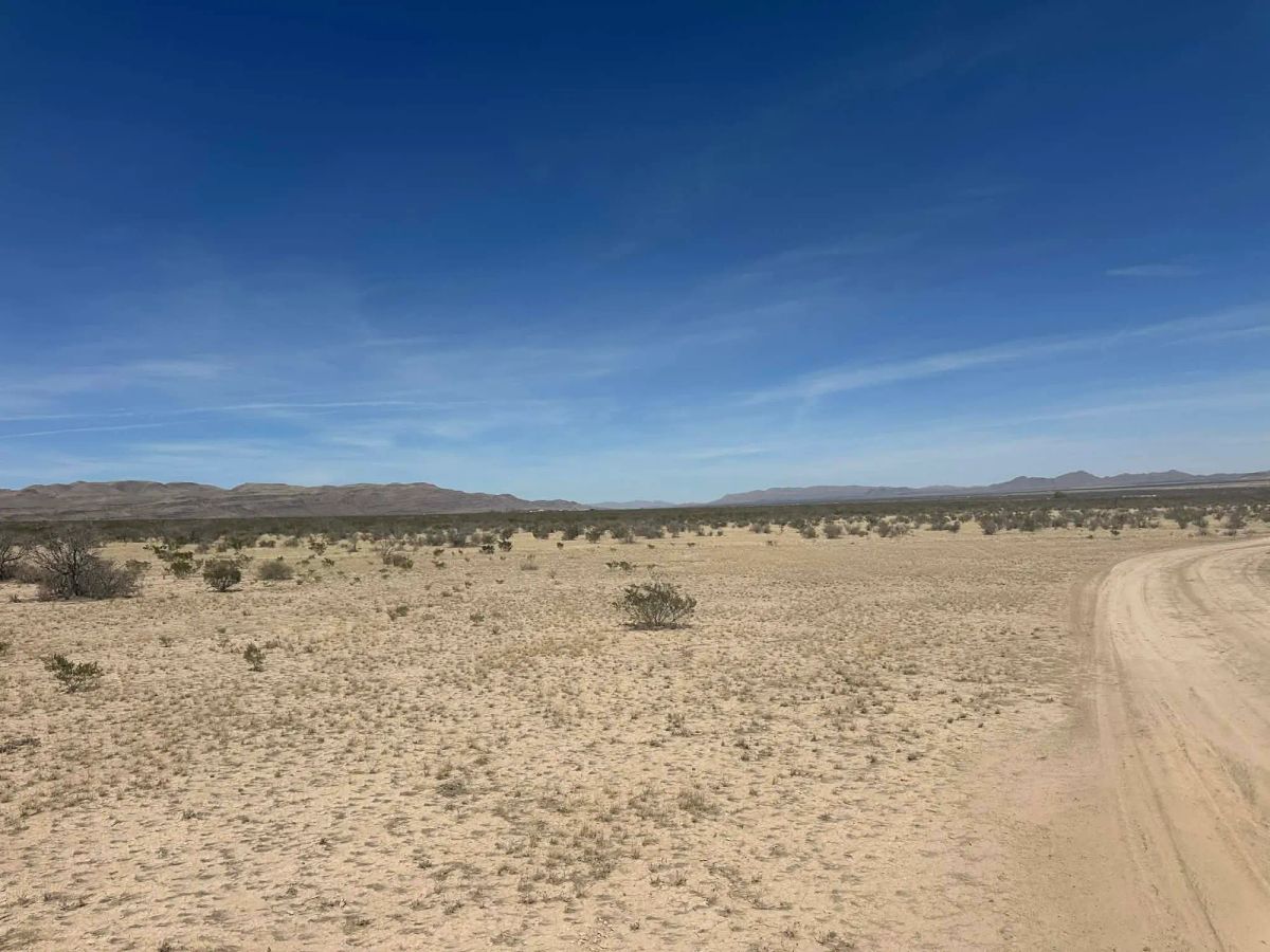 Decorative background for 10 Acres of Freedom – No Zoning, Just Wide-Open West Texas image 12