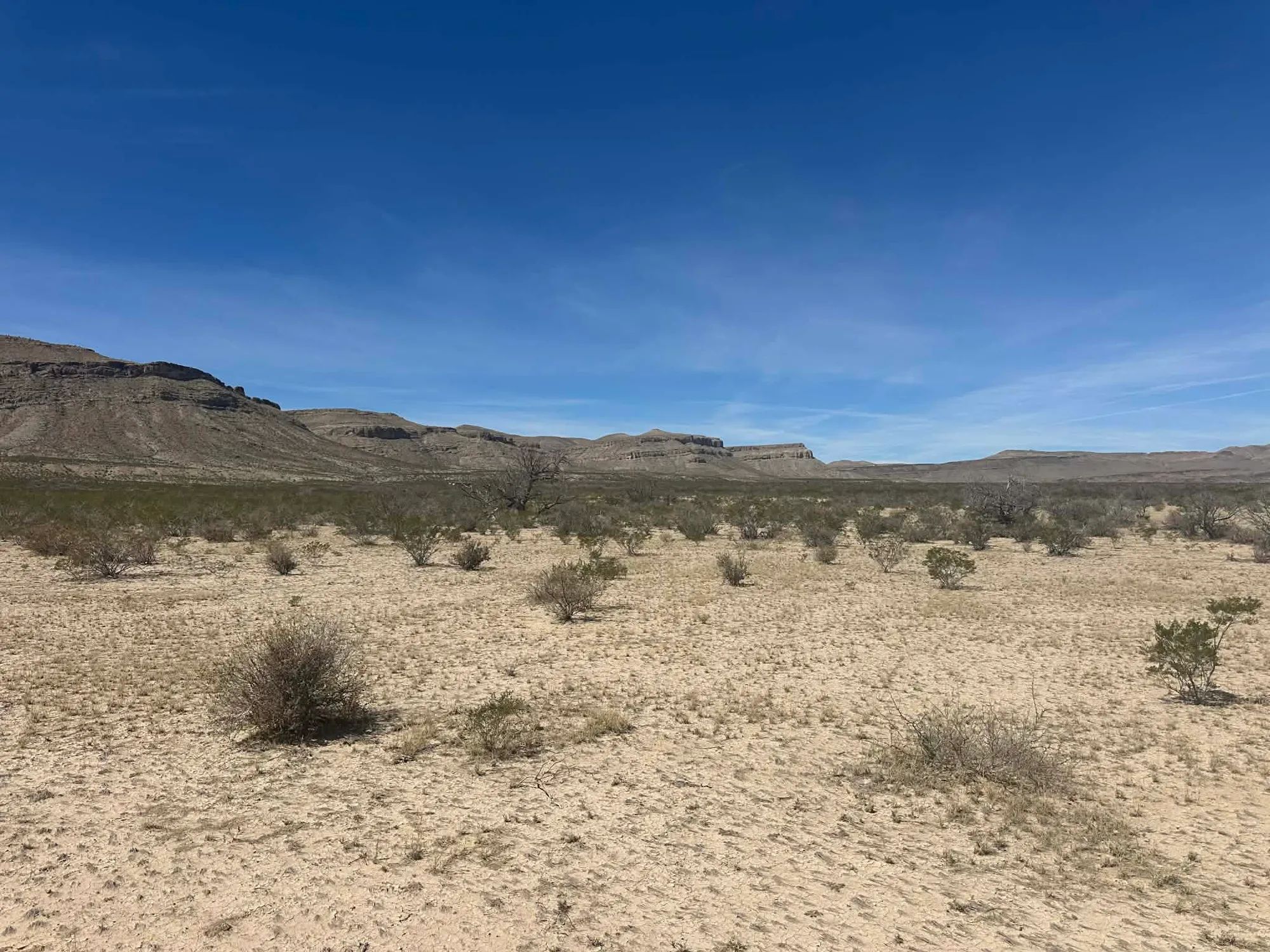 10 Acres of Freedom – No Zoning, Just Wide-Open West Texas in Culberson County, TX