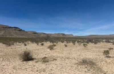 10 Acres of Freedom – No Zoning, Just Wide-Open West Texas