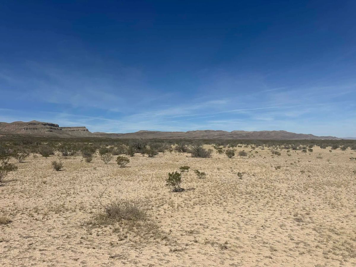 10 Acres of Freedom – No Zoning, Just Wide-Open West Texas - Image 2