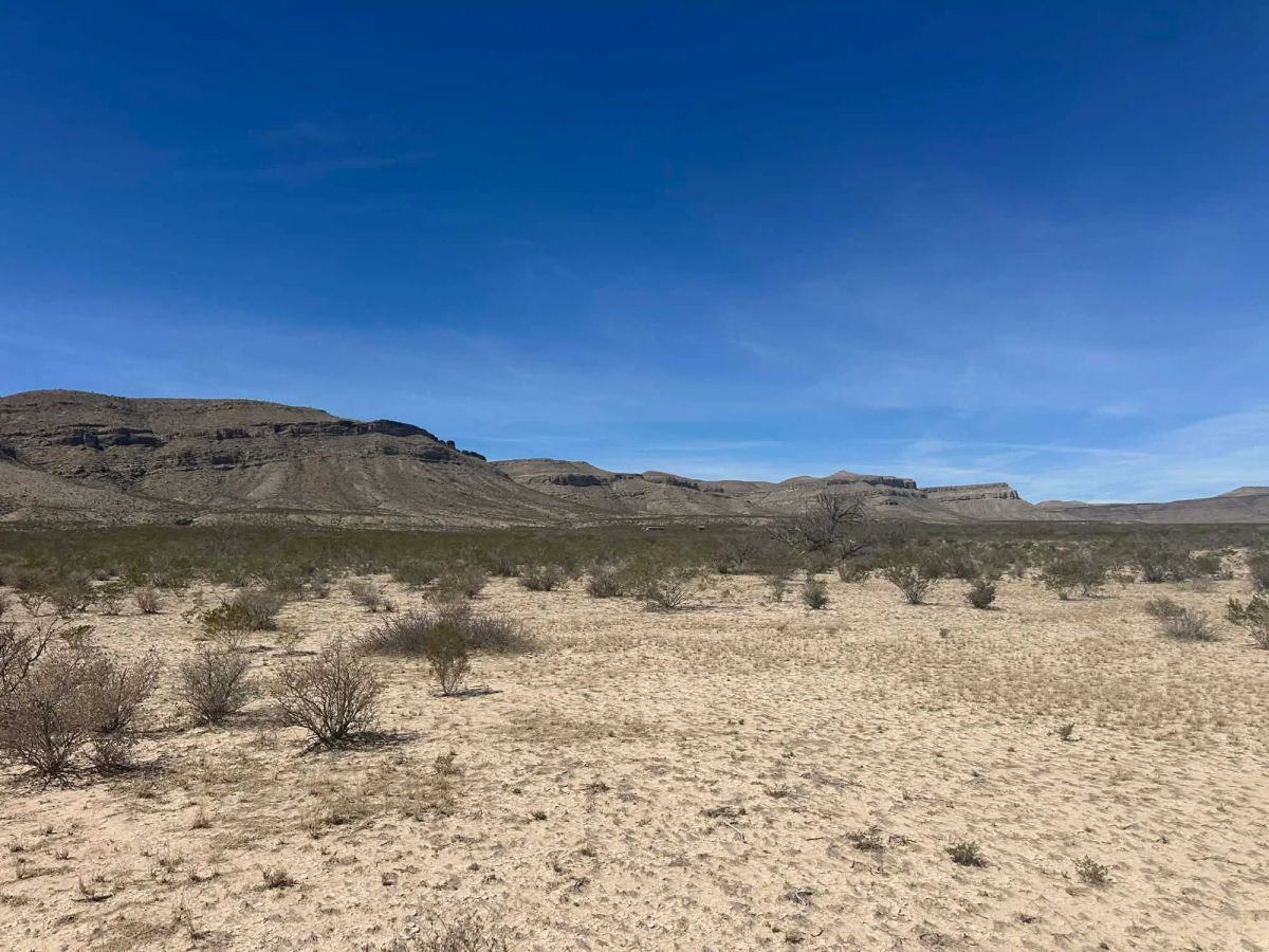 10 Acres of Freedom – No Zoning, Just Wide-Open West Texas - Image 4
