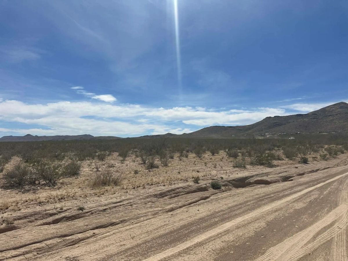 Decorative background for 10 Acres of Freedom – No Zoning, Just Wide-Open West Texas image 5
