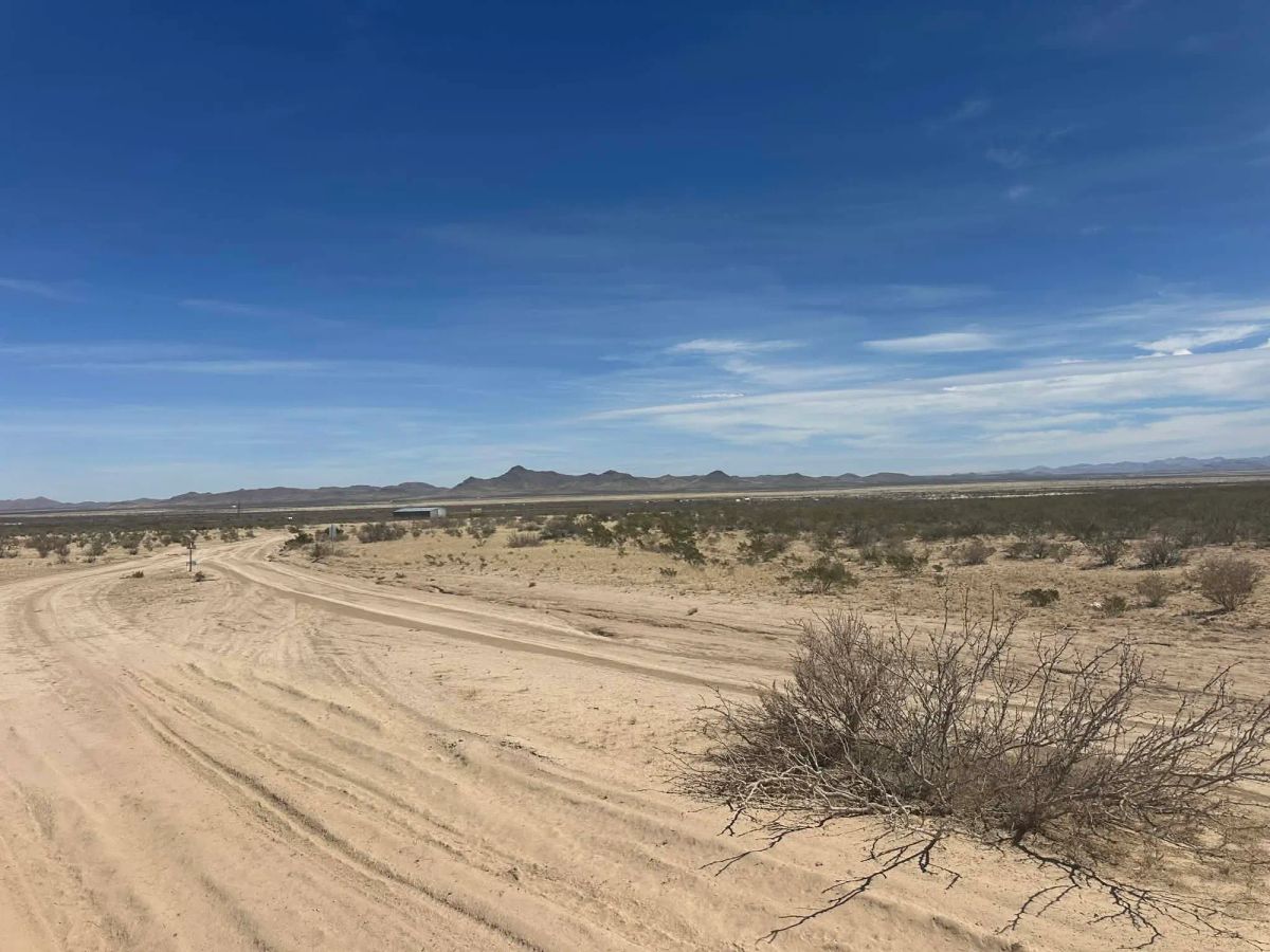 Decorative background for 10 Acres of Freedom – No Zoning, Just Wide-Open West Texas image 6