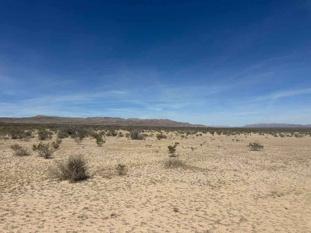 Decorative background for 10 Acres of Freedom – No Zoning, Just Wide-Open West Texas image 7