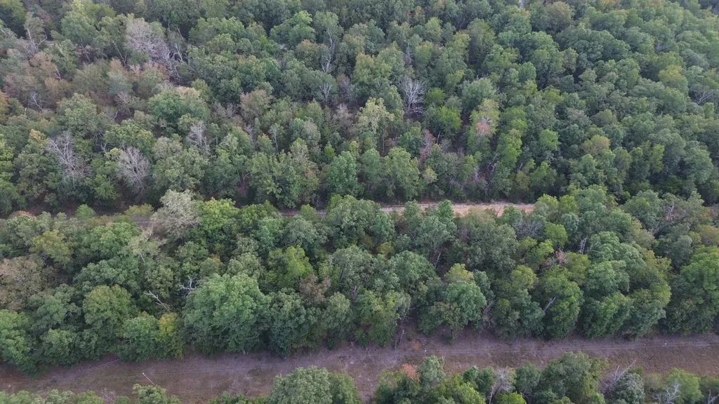 1102 Hickory in Izard County, AR