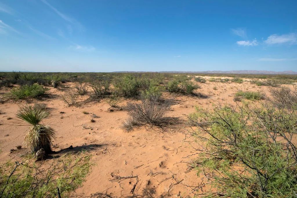 5.7 Acres near Van Horn - Image 4