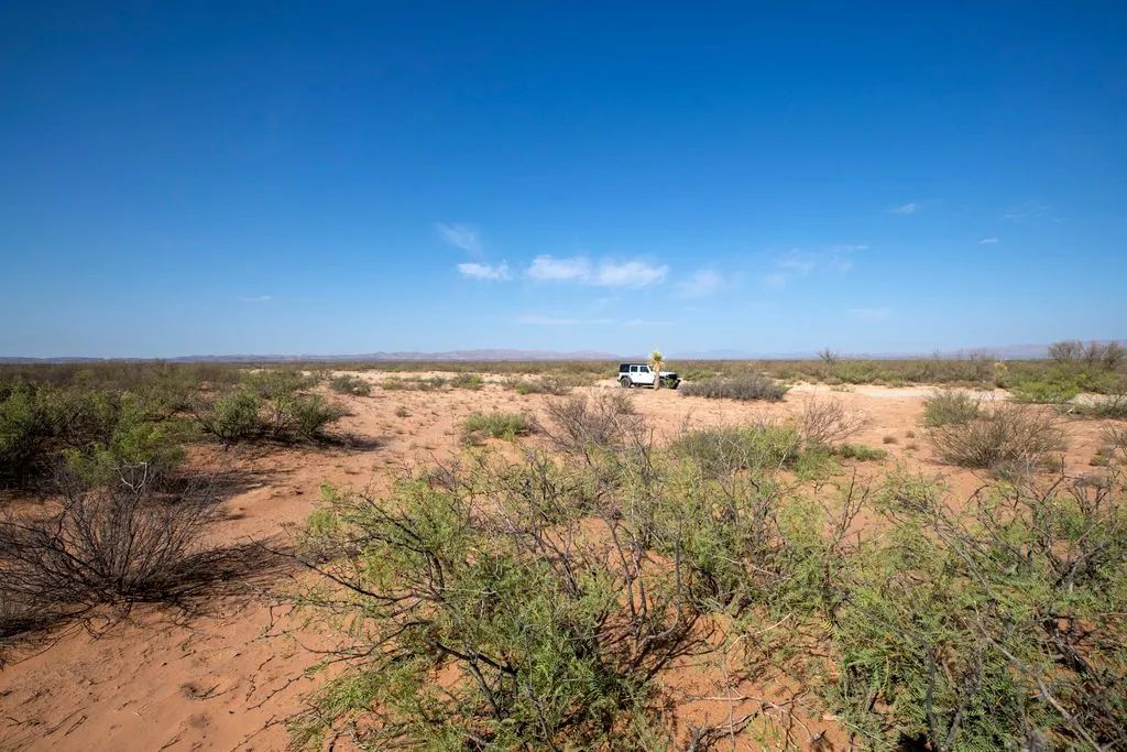 Decorative background for 5.7 Acres near Van Horn image 5