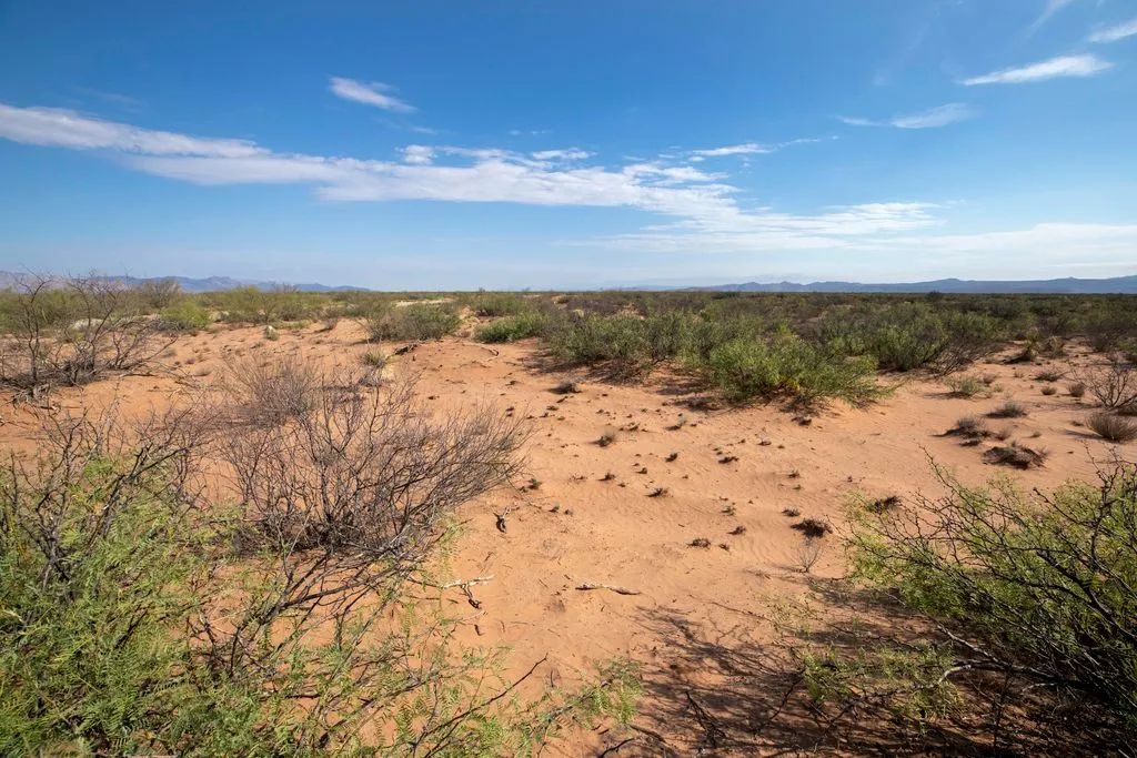 Decorative background for 5.7 Acres near Van Horn image 6