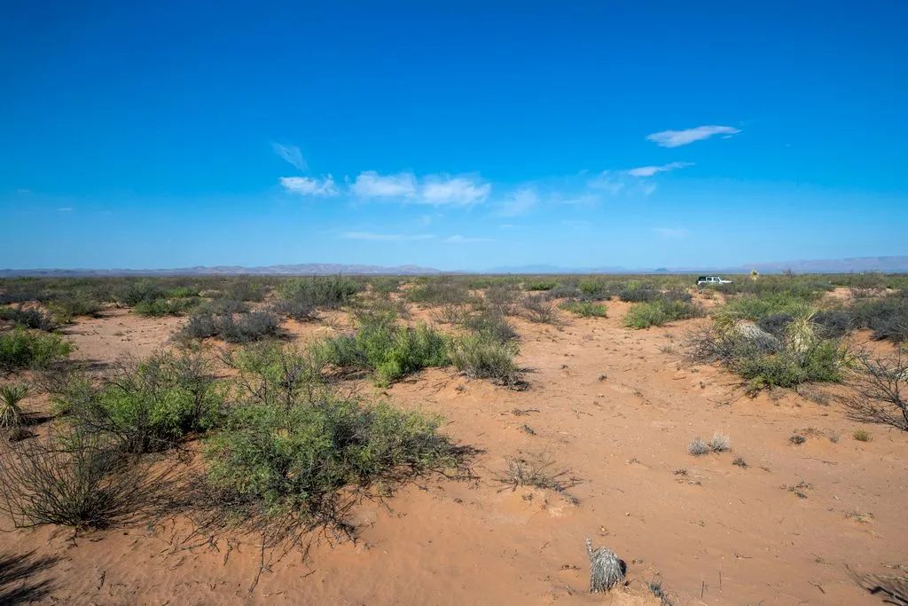 Decorative background for 5.7 Acres near Van Horn image 8