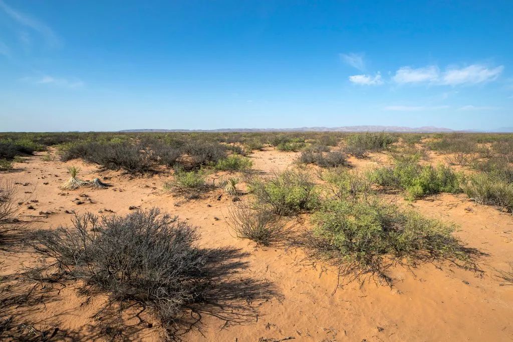 Decorative background for 5.7 Acres near Van Horn image 9