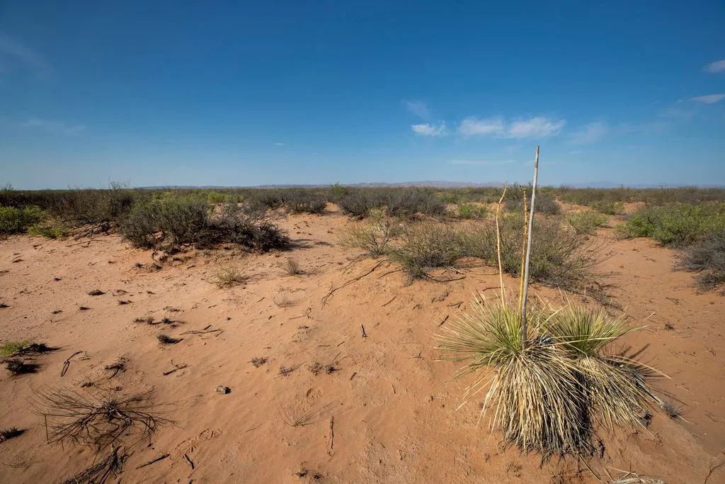 Decorative background for 5.7 Acres near Van Horn image 10