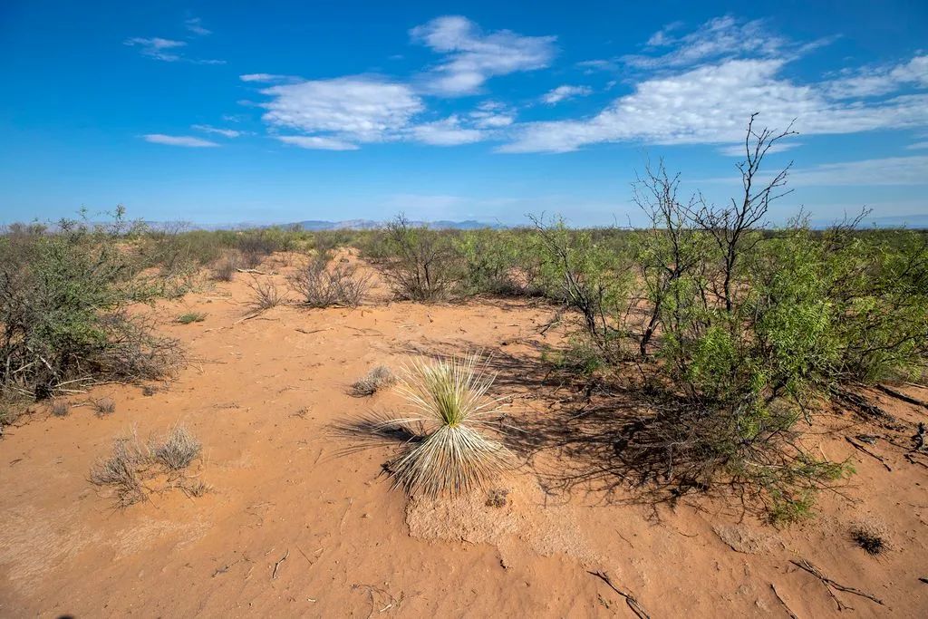 Decorative background for 5.7 Acres near Van Horn image 11